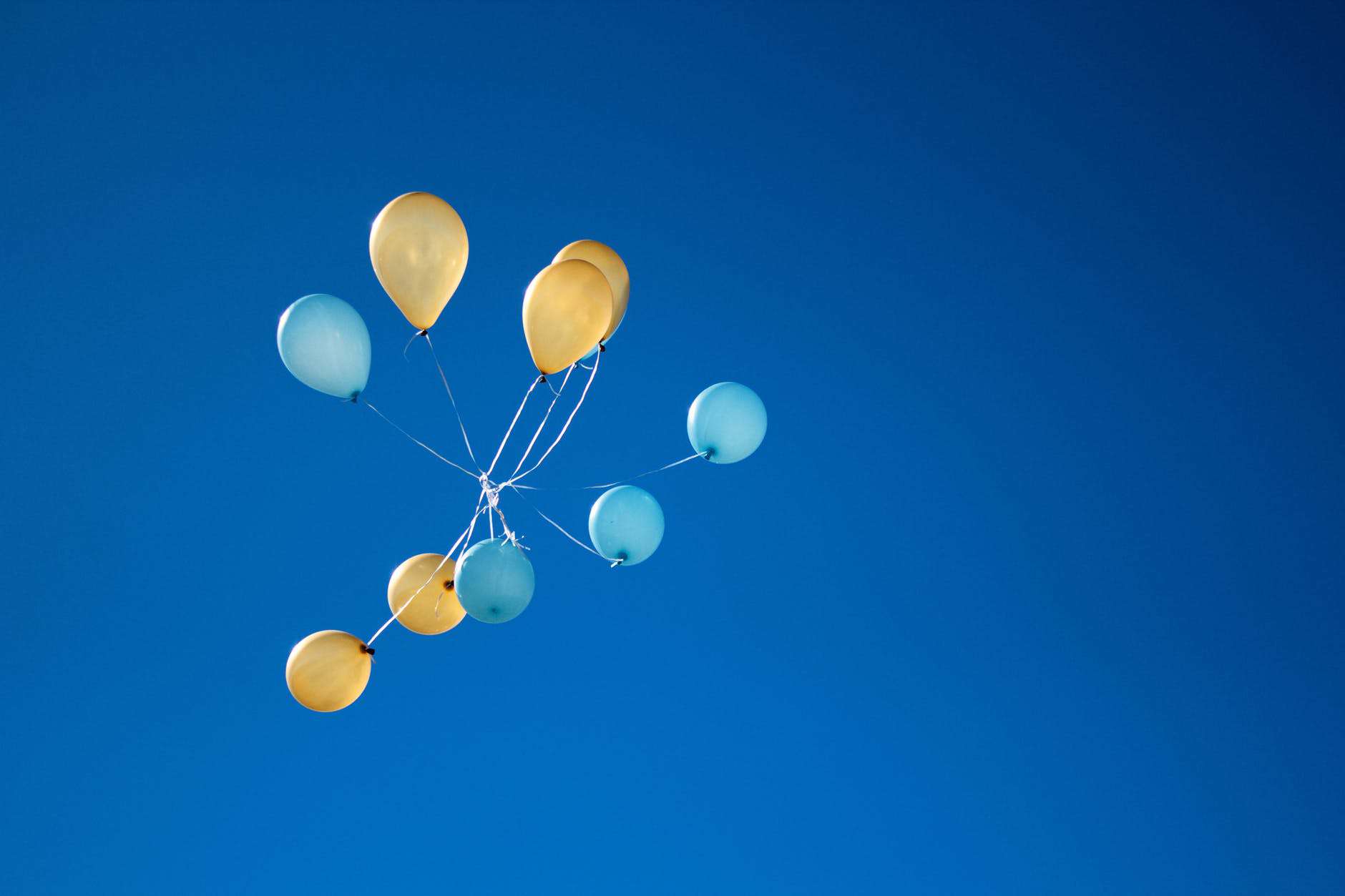 Colorful balloons floating against a clear blue sky, symbolizing hope and peace.